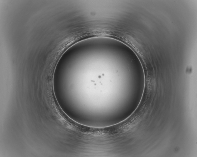 X0000091080433200708061340