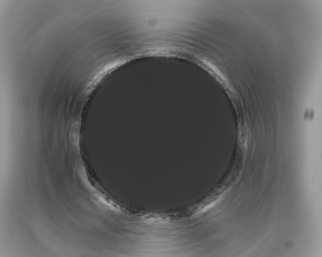 X0000091080434200708061340