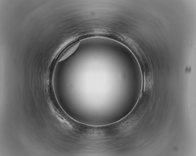 X0000091080435200708061340