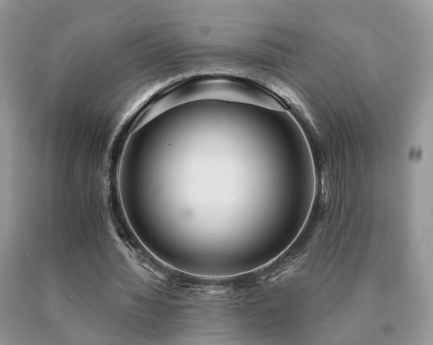 X0000091080436200708061340