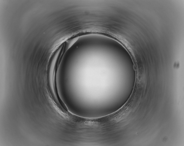 X0000091080437200708061340