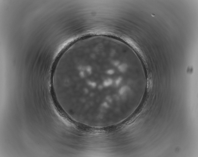 X0000091080438200708061340