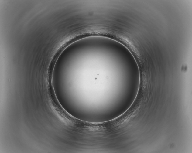 X0000091080439200708061340