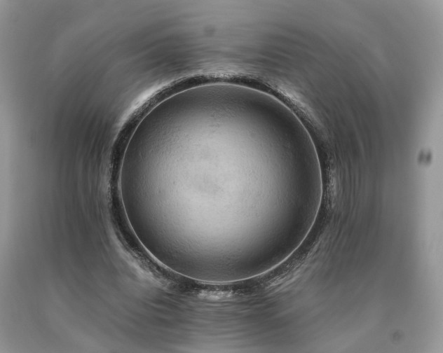 X0000091080440200708061340