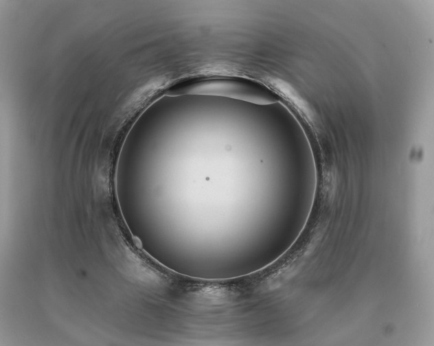 X0000091080441200708061340