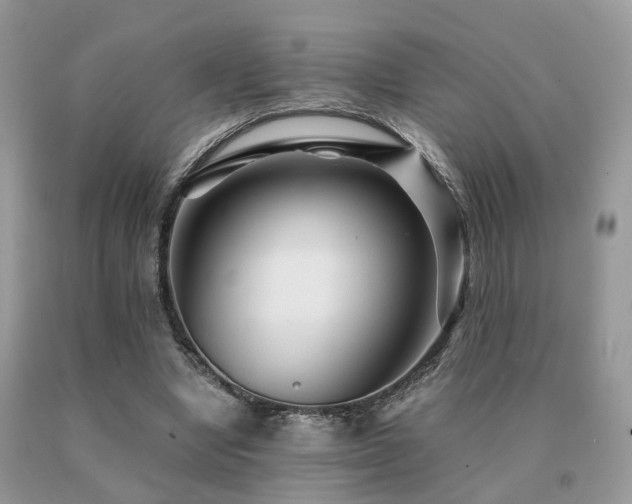 X0000091080442200708061340