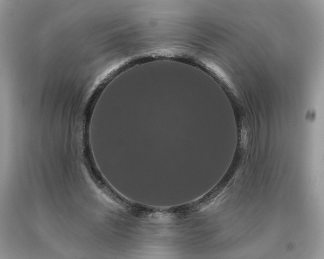 X0000091080444200708061340