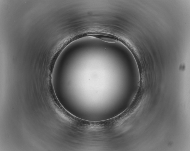 X0000091080445200708061340