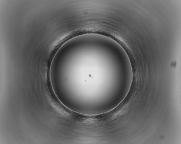 X0000091080446200708061340