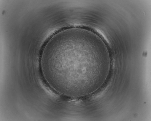 X0000091080447200708061340