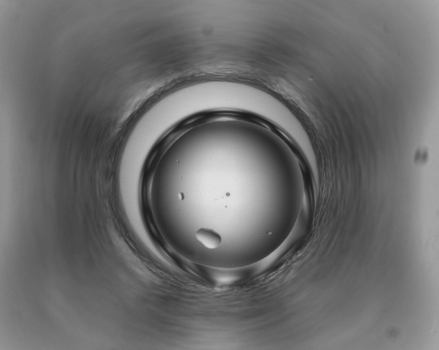 X0000091080448200708061340