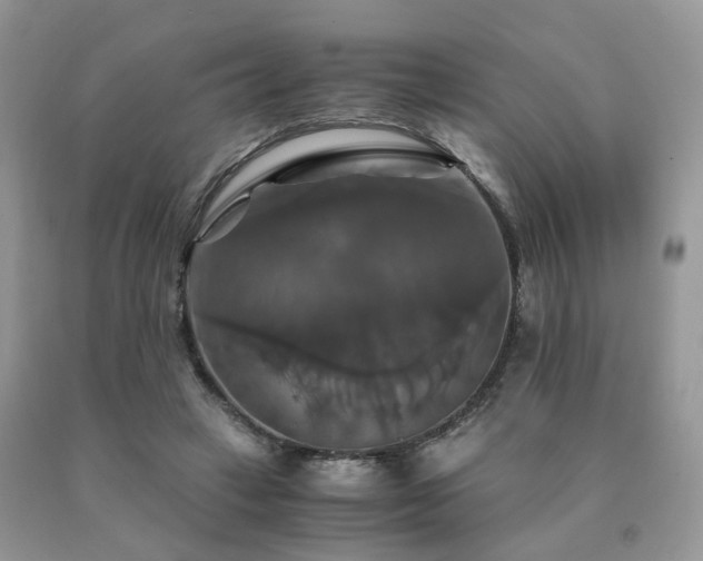 X0000091080449200708061340