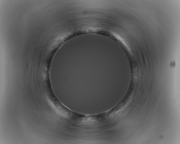 X0000091080451200708061340