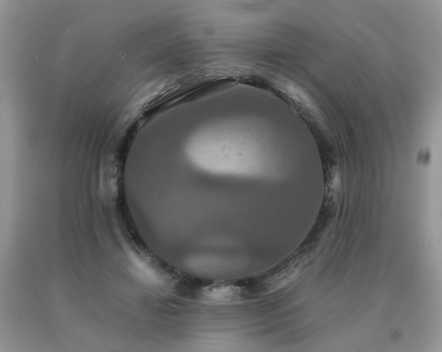 X0000091080452200708061340