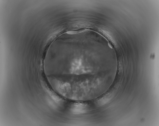 X0000091080453200708061340