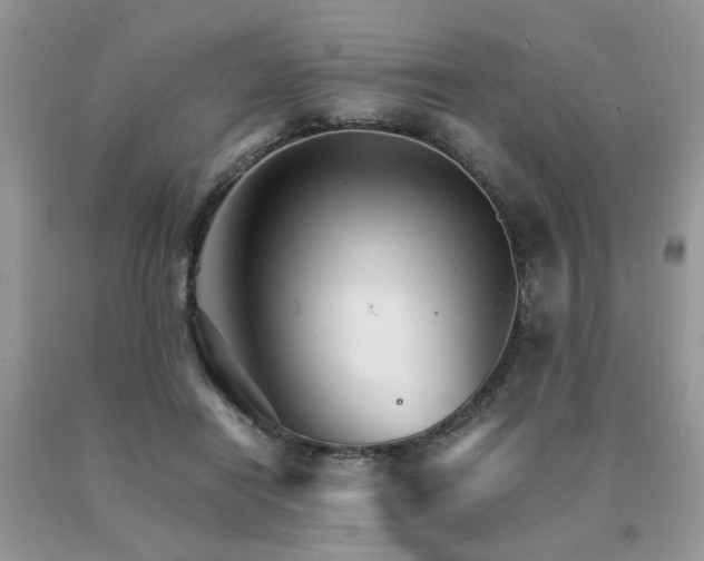 X0000091080454200708061340