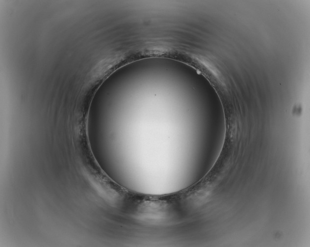 X0000091080455200708061340