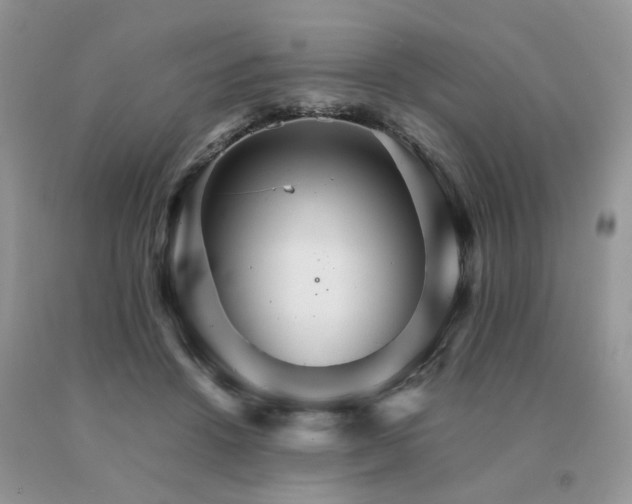 X0000091080456200708061340