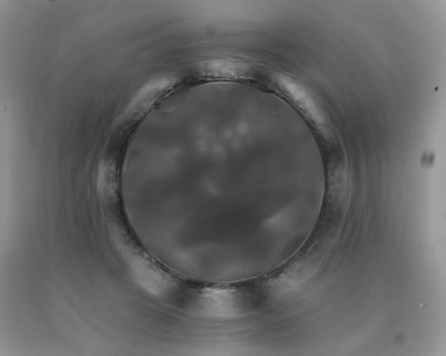 X0000091080457200708061340