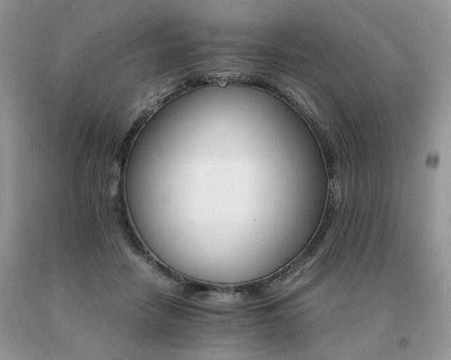 X0000091080458200708061340