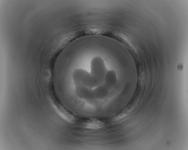 X0000091080459200708061340