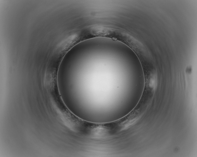 X0000091080460200708061340