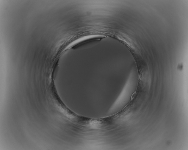 X0000091080462200708061340