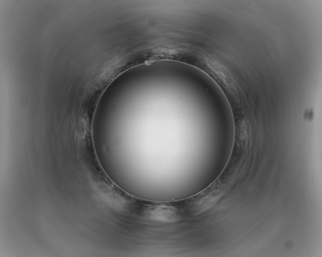 X0000091080463200708061340