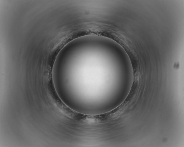 X0000091080464200708061340