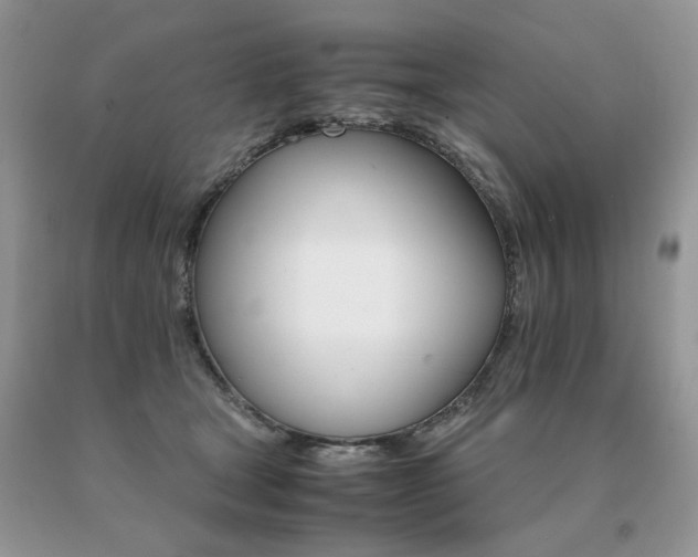 X0000091080465200708061340