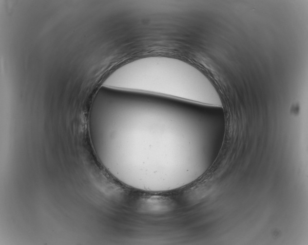 X0000091080467200708061340