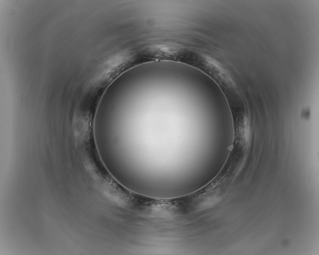 X0000091080468200708061340