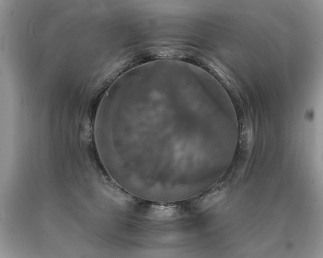 X0000091080469200708061340