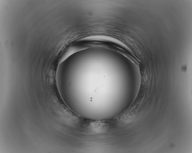 X0000091080470200708061340