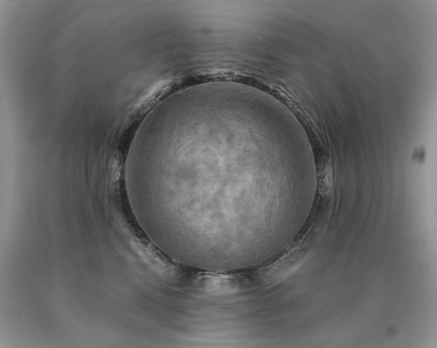 X0000091080472200708061340