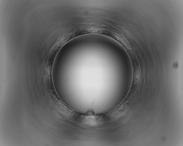 X0000091080473200708061340