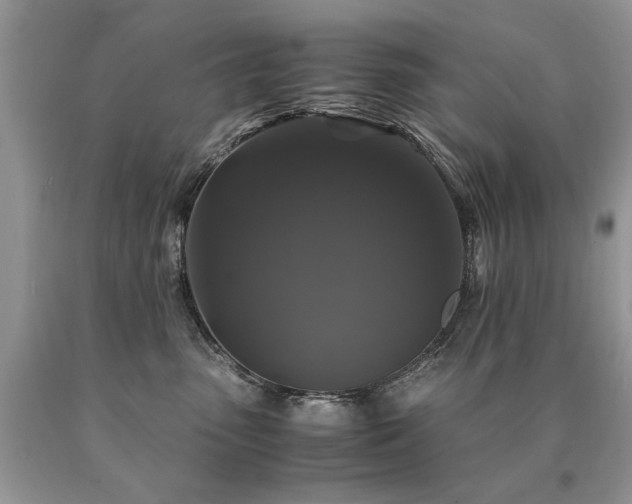 X0000091080475200708061340