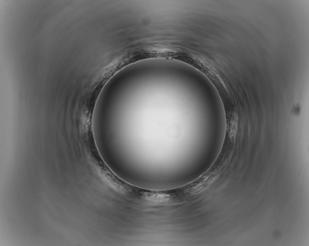 X0000091080476200708061340