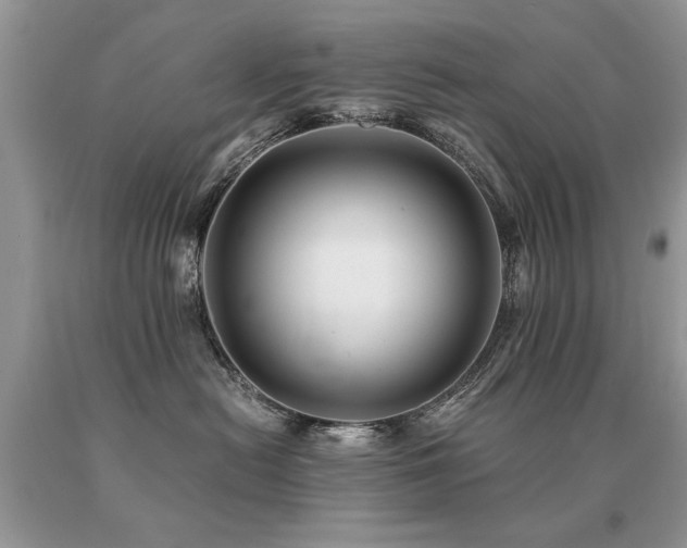 X0000091080478200708061340