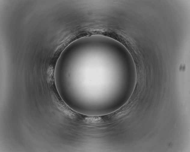 X0000091080480200708061340