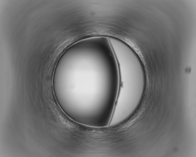 X0000091080481200708061340