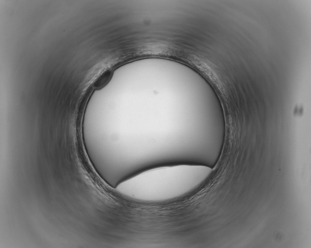 X0000091080482200708061340