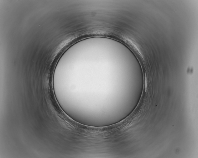 X0000091080483200708061340