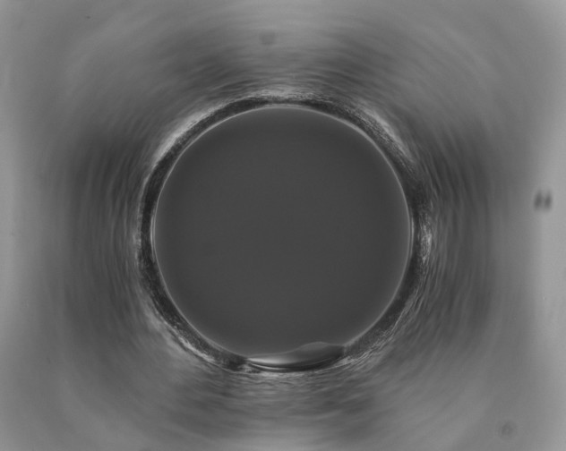 X0000091080484200708061340