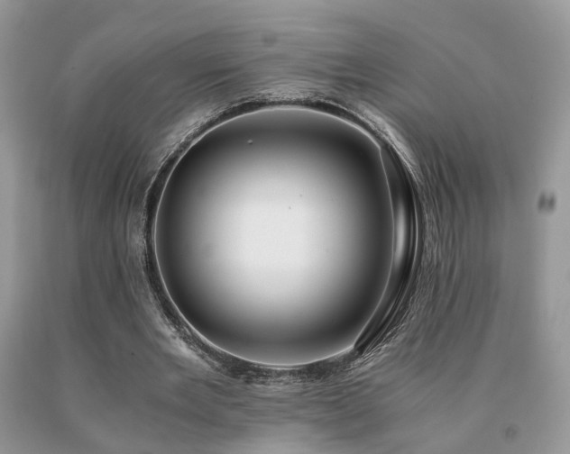 X0000091080485200708061340