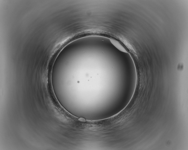 X0000091080486200708061340