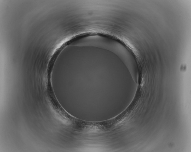 X0000091080488200708061340