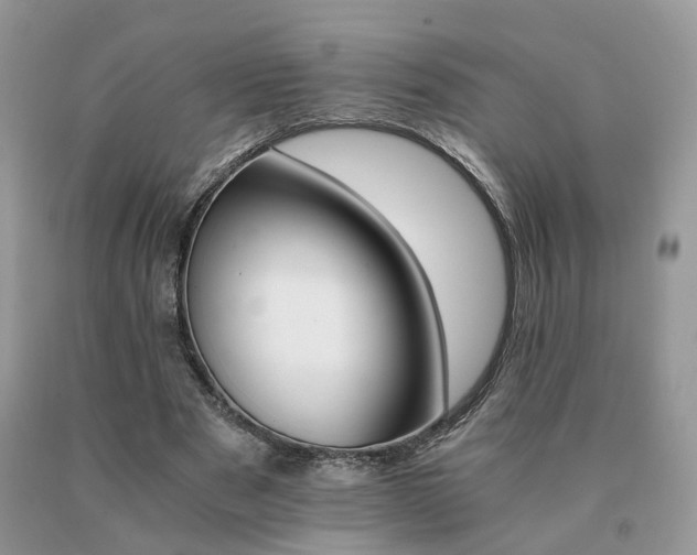 X0000091080489200708061340