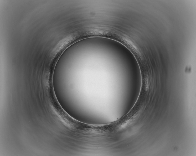 X0000091080490200708061340