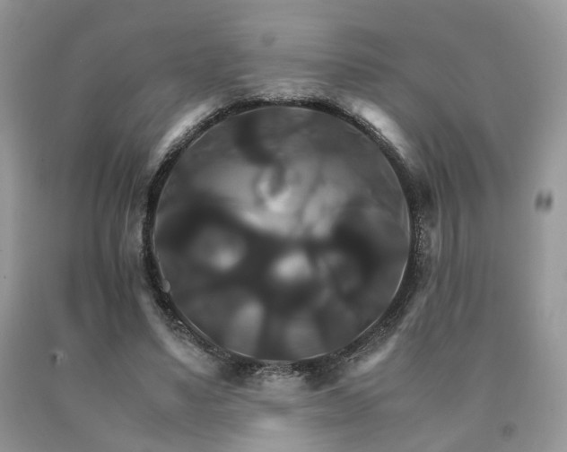 X0000091080491200708061340